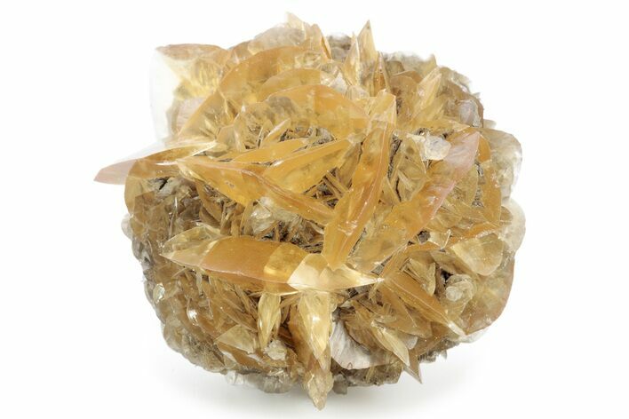 Twinned Selenite Crystals (Fluorescent) - Red River Floodway #242625